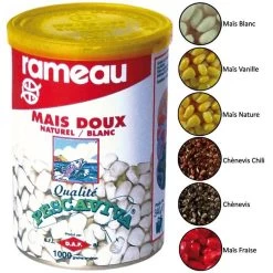 GRAINE PREPAREE RAMEAU MAIS / CHENEVIS PAR PESCAVIVA